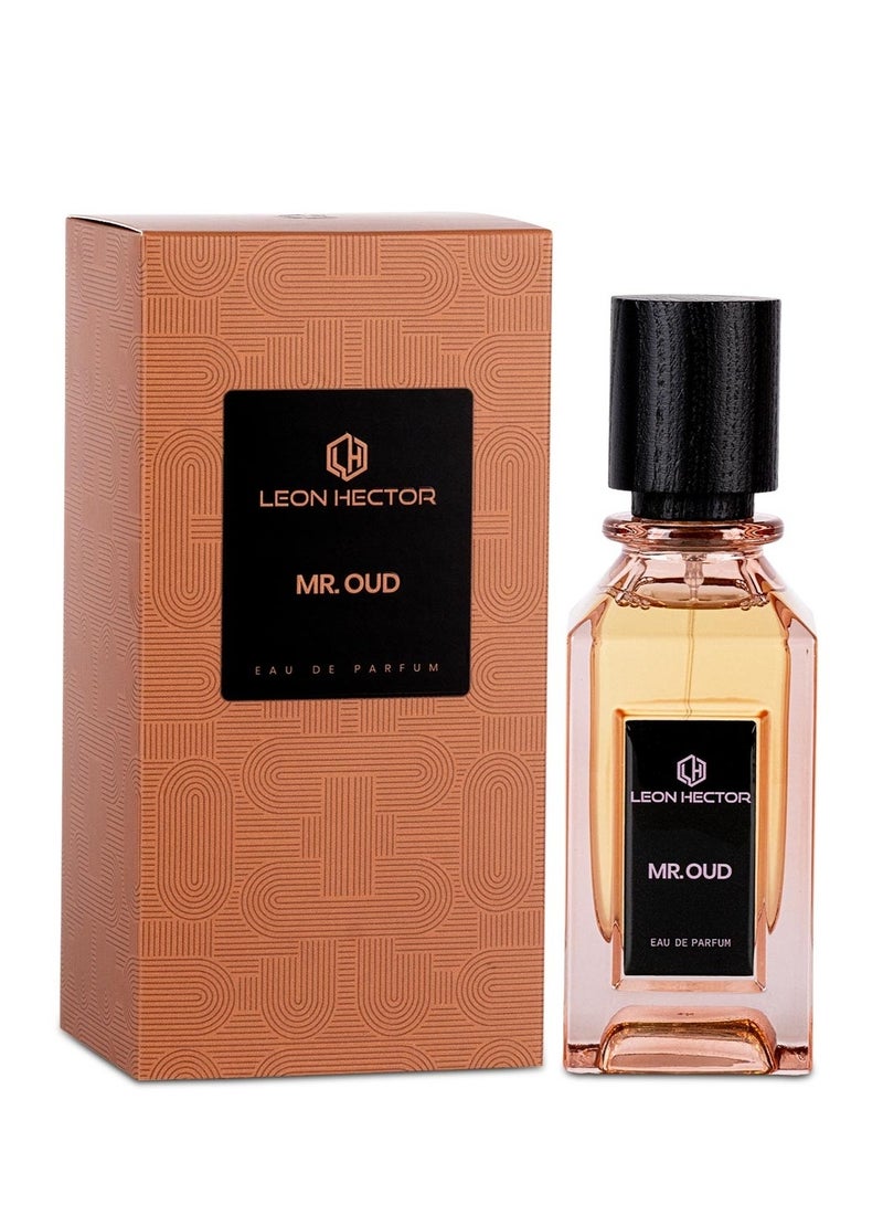 Leon Hector MR. عود EDP للجنسين 110 مل - Image 2